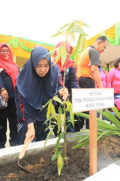 TP PKK Inhil Tanam Pohon  Sempena Gerakan Perempuan Tanam dan Pelihara Pohon